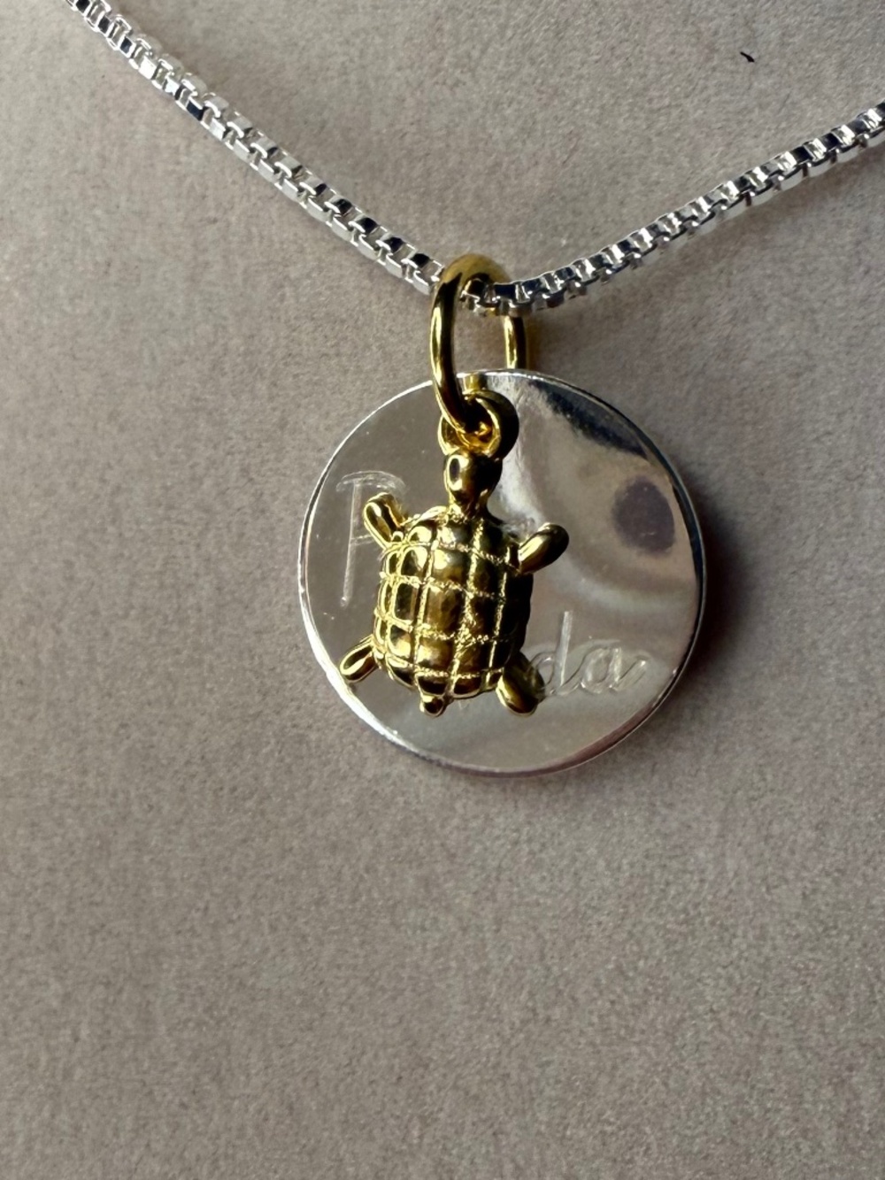 Pura Vida Turtle Necklace